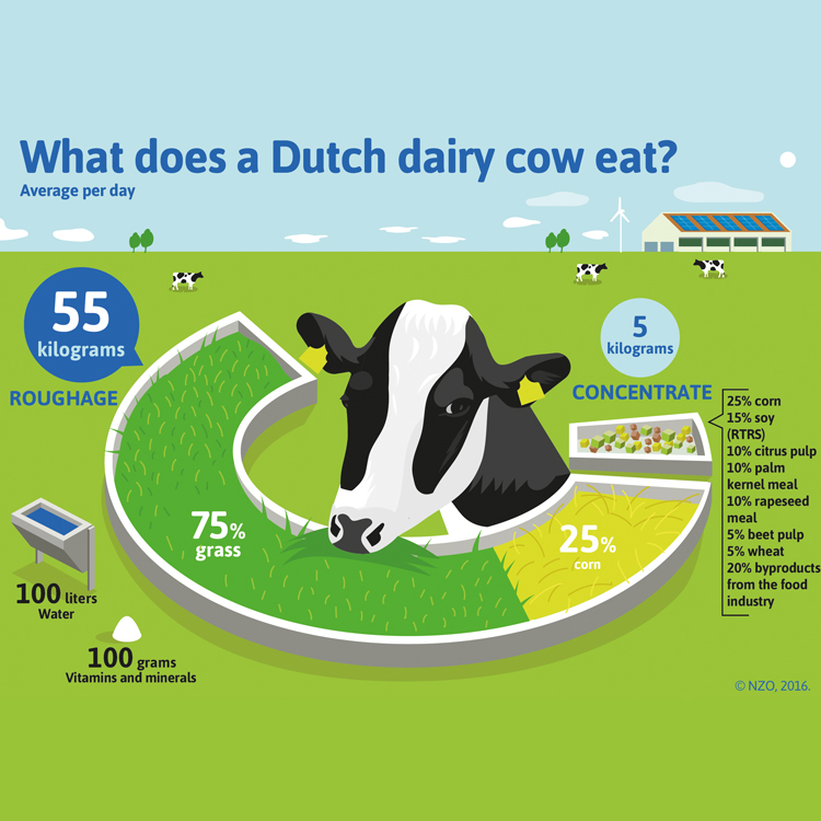 Dutch dairy the first to transition to 100% responsible ...