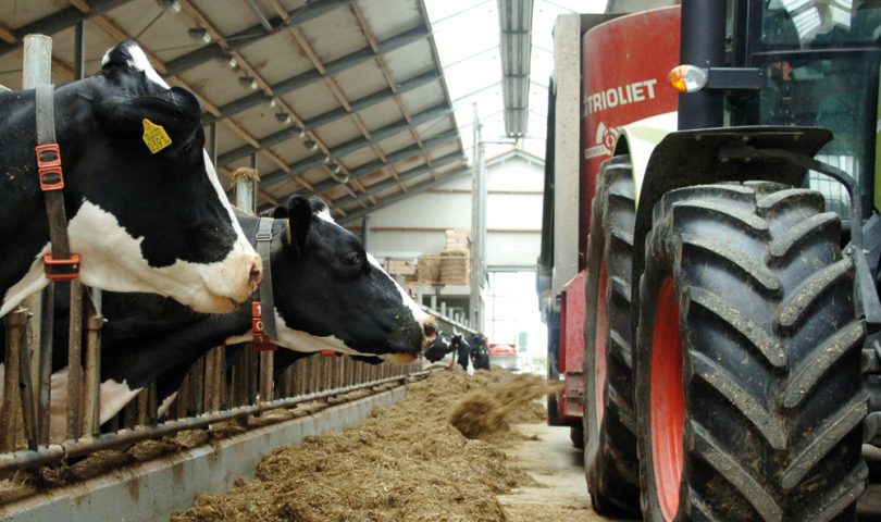 Cattle feed | Nederlandse Zuivel Organisatie